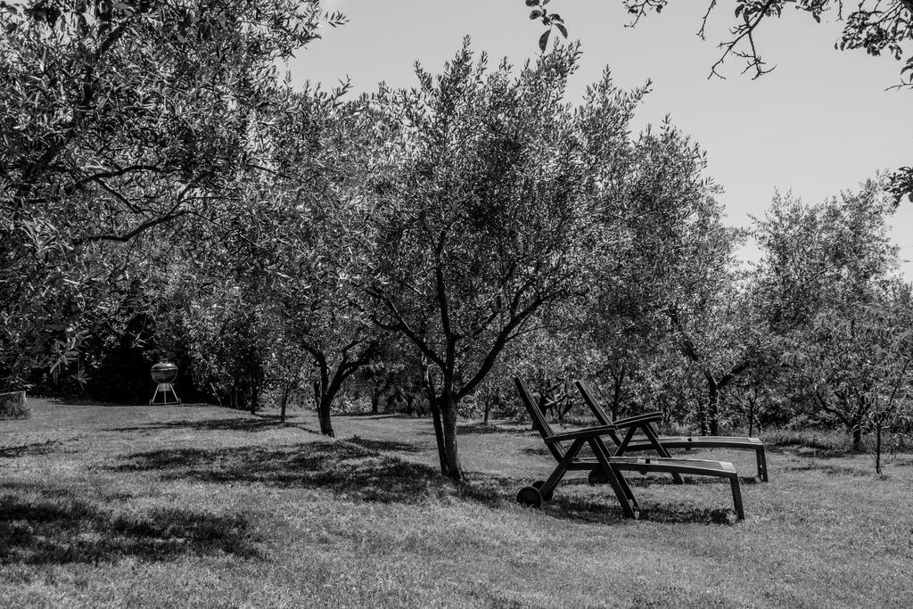 Terra Del Carso Villa San Pelagio Buitenkant foto